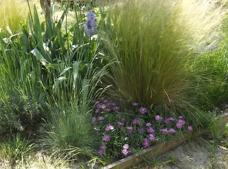 La Terre Brulee לינה וארוחת בוקר 4*