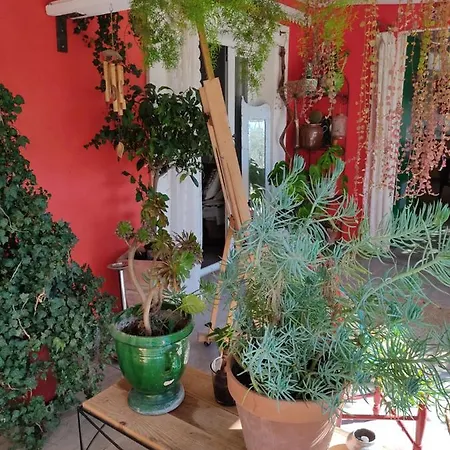 La Terre Brulee איגוס-מורטס