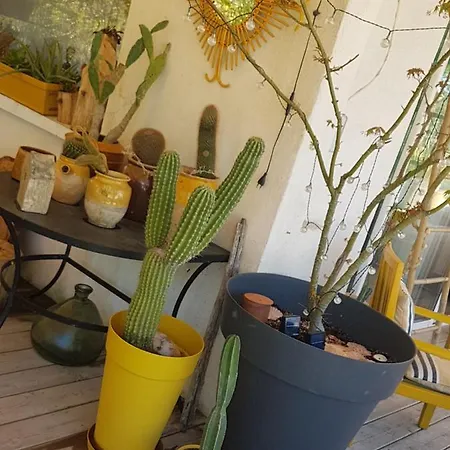 La Terre Brûlée Couette-café Aigues-Mortes