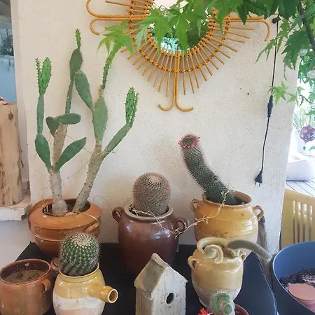 La Terre Brulee לינה וארוחת בוקר