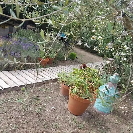 La Terre Brulee איגוס-מורטס