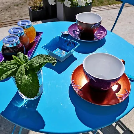 La Terre Brulee Aigues-Mortes