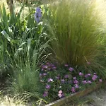 La Terre Brulee Bed & Breakfast 4*