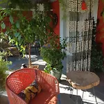 La Terre Brulee Aigues-Mortes