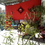 Alojamento de Acomodação e Pequeno-almoço La Terre Brulee 4*