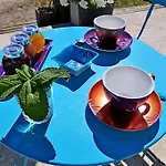La Terre Brulee 艾格-莫尔特
