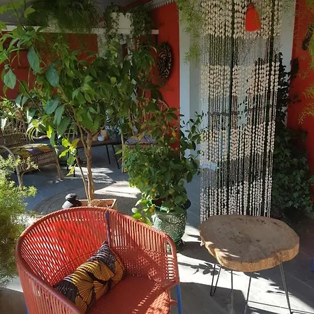 La Terre Brulee Aigues-Mortes