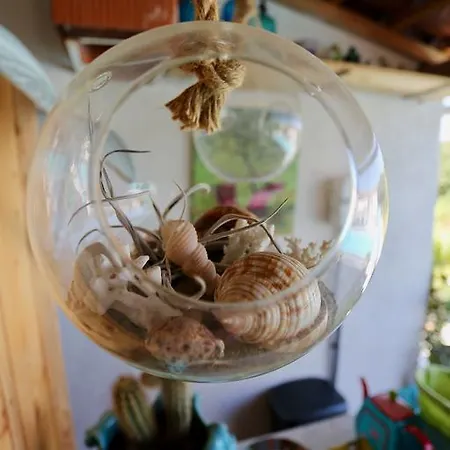 فندق مبيت وإفطار La Terre Brulee إج مورت