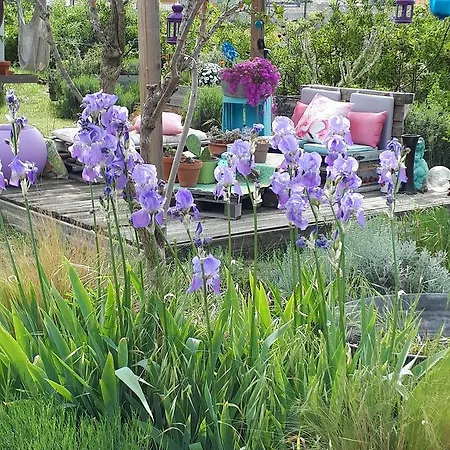 La Terre Brulee 4* إج مورت