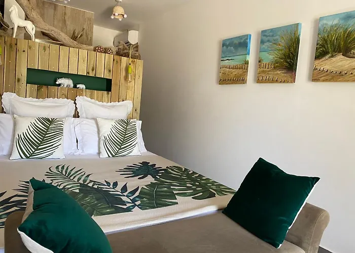 La Terre Brûlée Aigues-Mortes