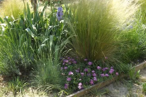 La Terre Brûlée Bed & Breakfast 4*