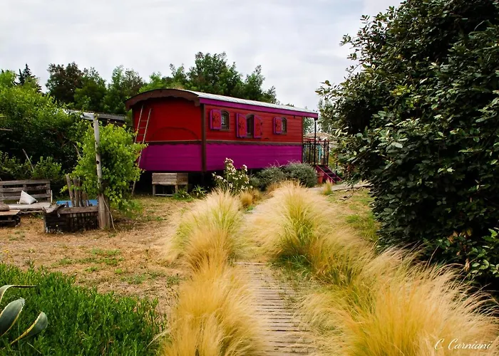 La Terre Brûlée 4*