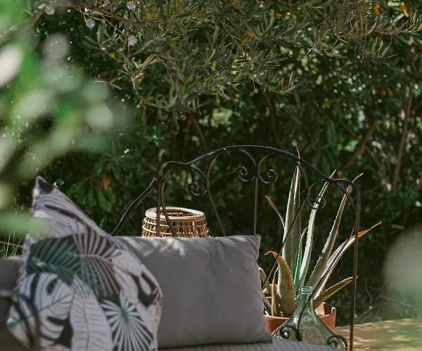 La Terre Brûlée Aigues-Mortes