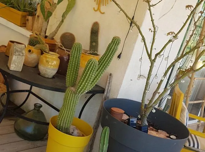 La Terre Brûlée Bed & Breakfast Aigues-Mortes