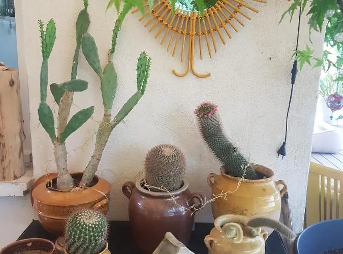 La Terre Brûlée Bed & Breakfast