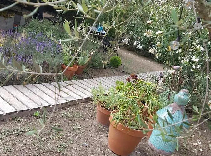 La Terre Brûlée Aigues-Mortes