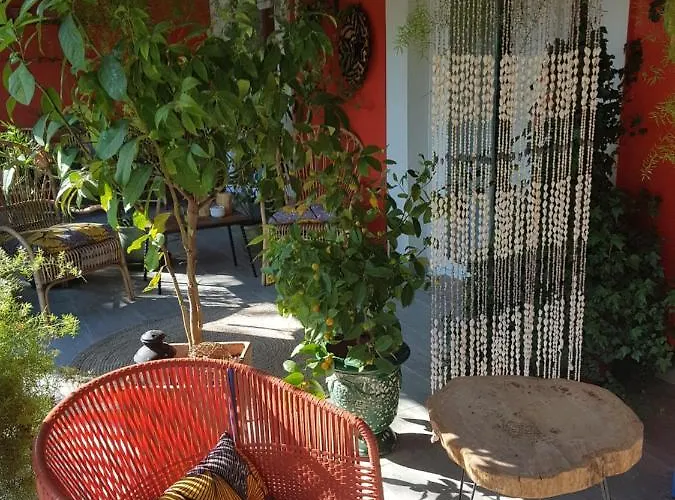 La Terre Brûlée Aigues-Mortes