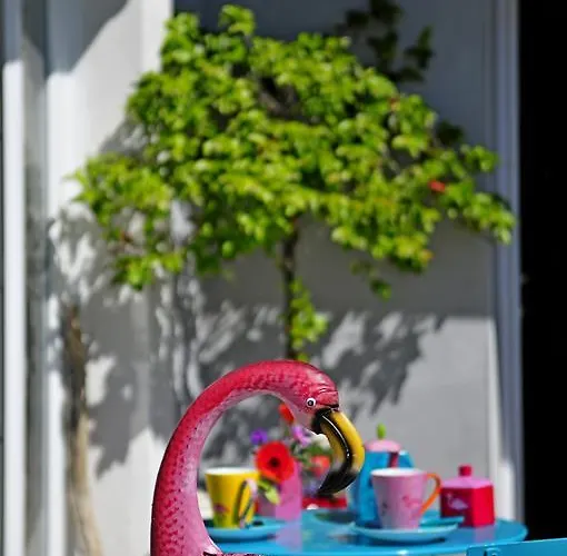 Bed & Breakfast La Terre Brûlée