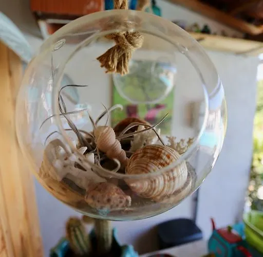 Bed & Breakfast La Terre Brûlée Aigues-Mortes