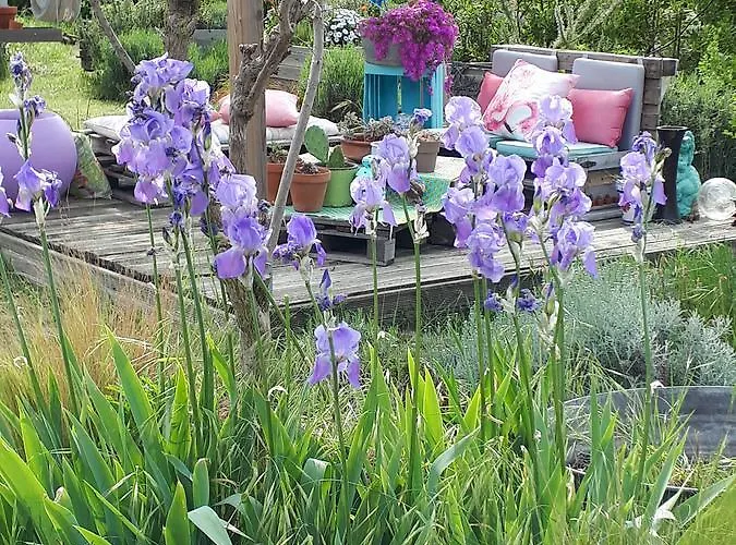 La Terre Brûlée 4* Aigues-Mortes